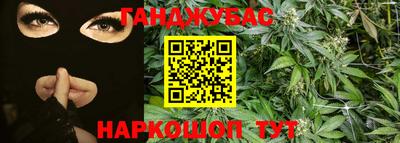 прущие грибы Чебоксары